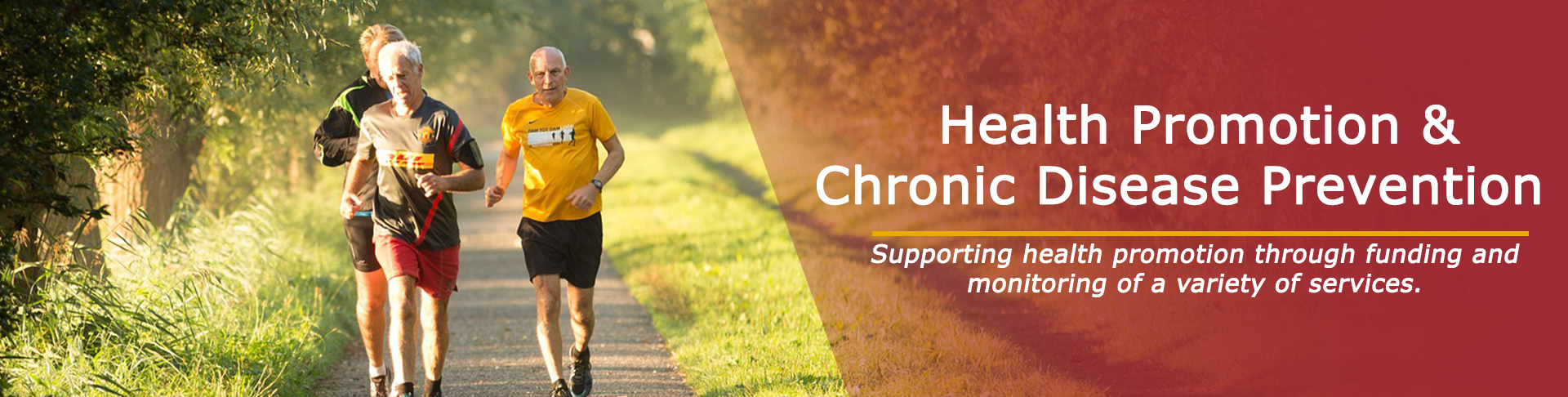 Health Promotion Banner.png
